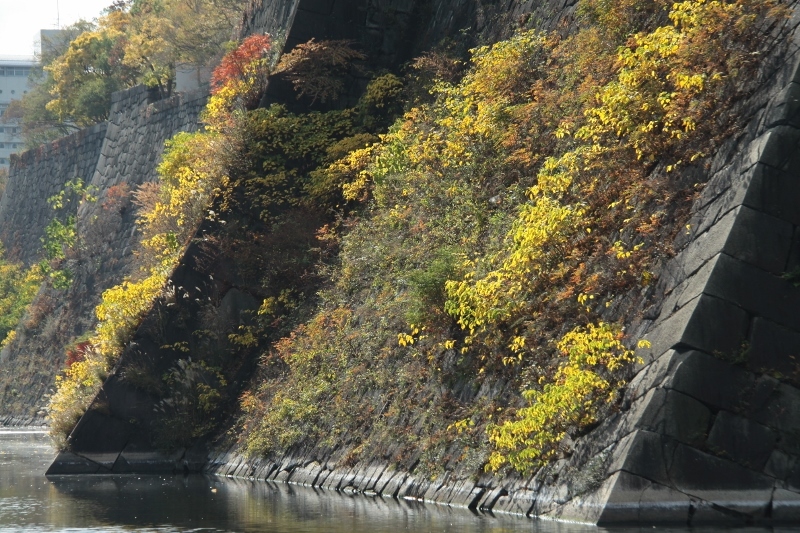 a0355356_09432637.jpg