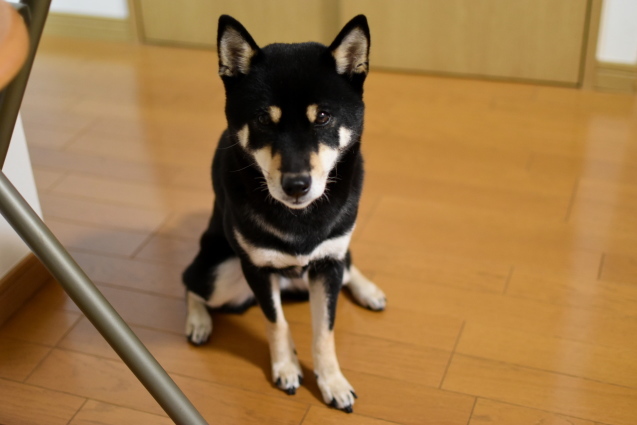 f0363156_16092059.jpg