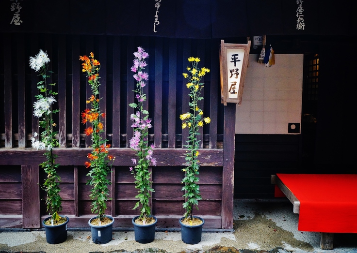 鳥居本・平野屋の志んこ_b0063958_19394193.jpg