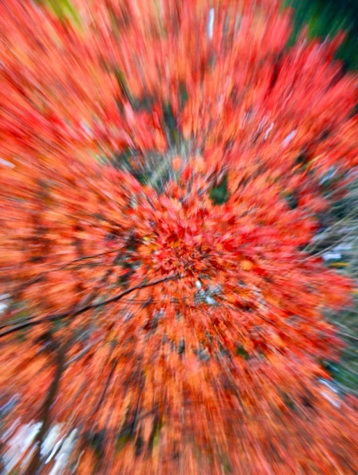 a0248459_19160726.jpg
