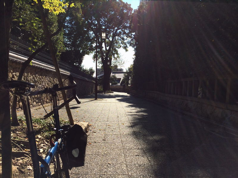 e0053660_10314222.jpg
