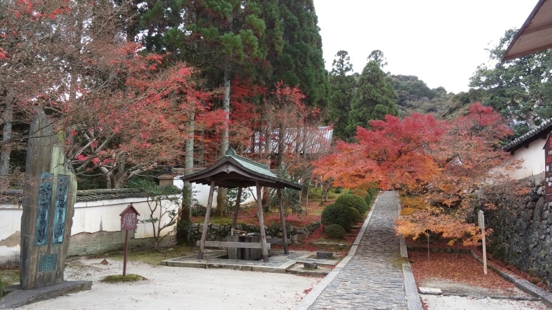 お婆さんと一休寺&#127809;_b0366766_22275895.jpg