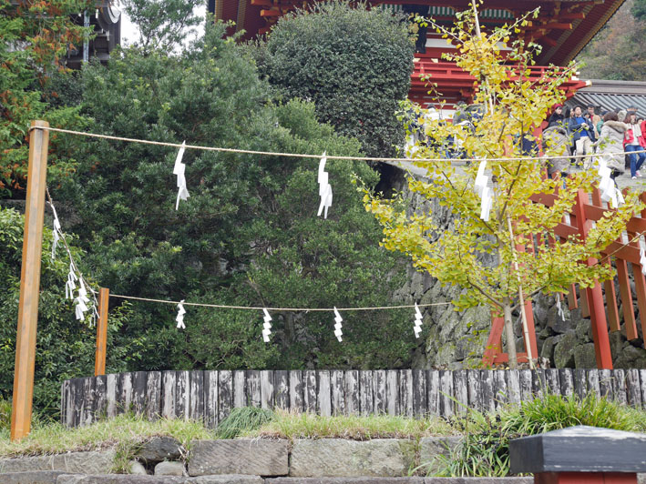 古都の紅葉を堪能！一橋大学留学生第６回鎌倉招待ツアー_c0014967_11171864.jpg