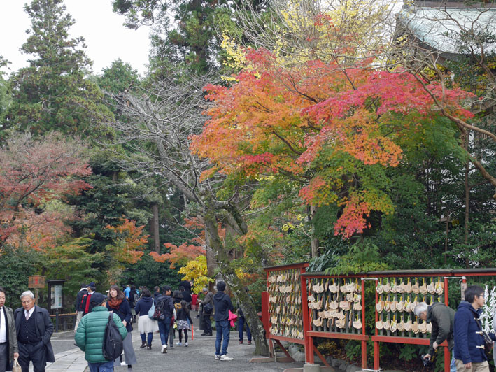 古都の紅葉を堪能！一橋大学留学生第６回鎌倉招待ツアー_c0014967_11175722.jpg