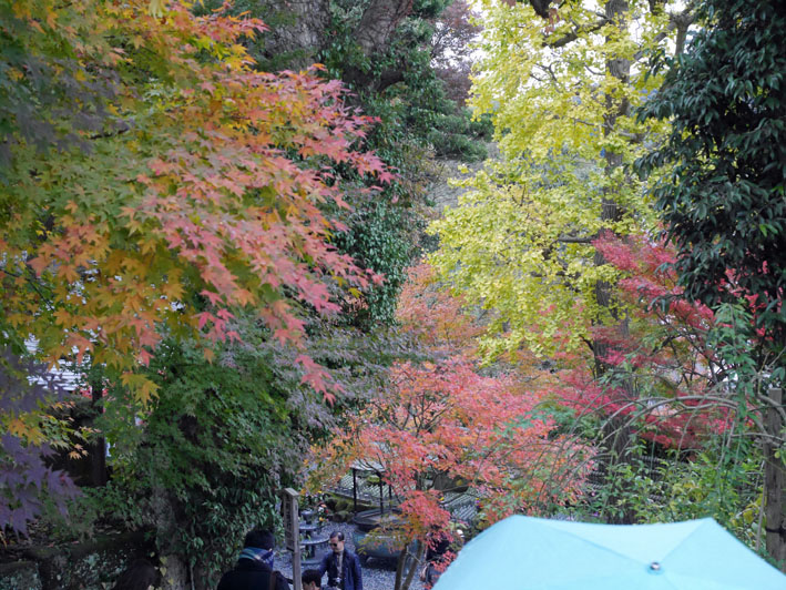 古都の紅葉を堪能！一橋大学留学生第６回鎌倉招待ツアー_c0014967_11215759.jpg