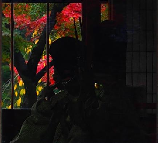 雨の舞楽会2016秋1日目_c0122270_19395615.png