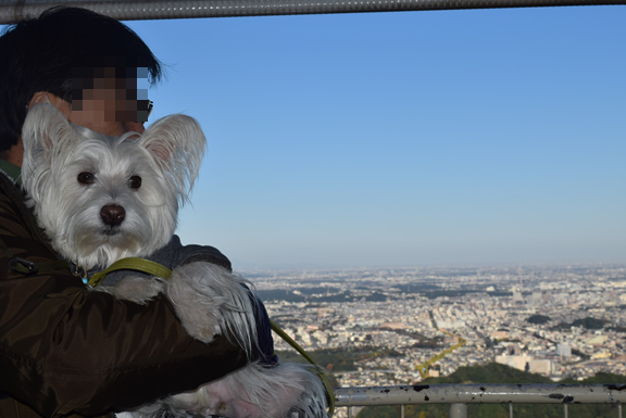 b0242873_19092176.png