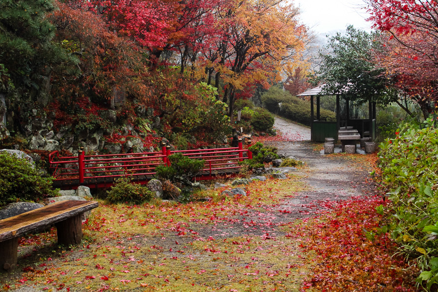 雨の花見山公園 In My Life