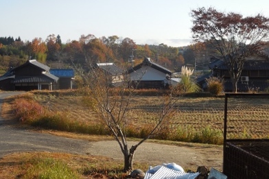 二十八日　その二　　日本分割もあり得る？_c0243877_16564919.jpg