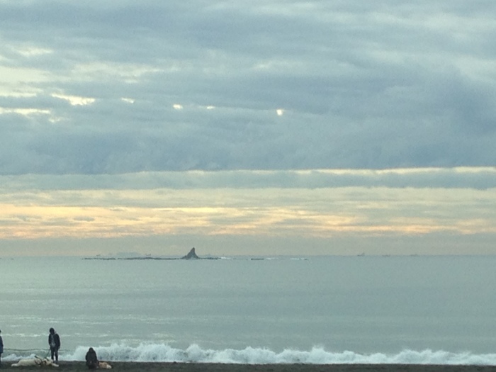 H:04:46/H:15:35/L10:03:/L:22:34 大潮_f0089978_09142908.jpeg