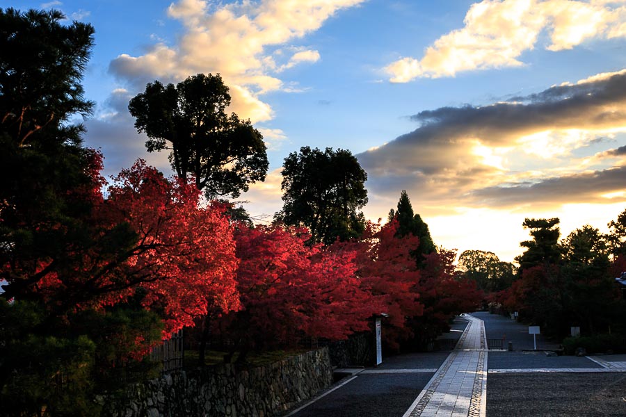 紅葉2016！　～天龍寺～_b0128581_20381425.jpg