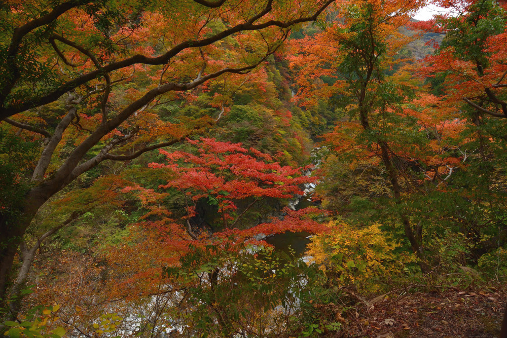 2016『燃える渓谷』_d0241981_20475437.jpg