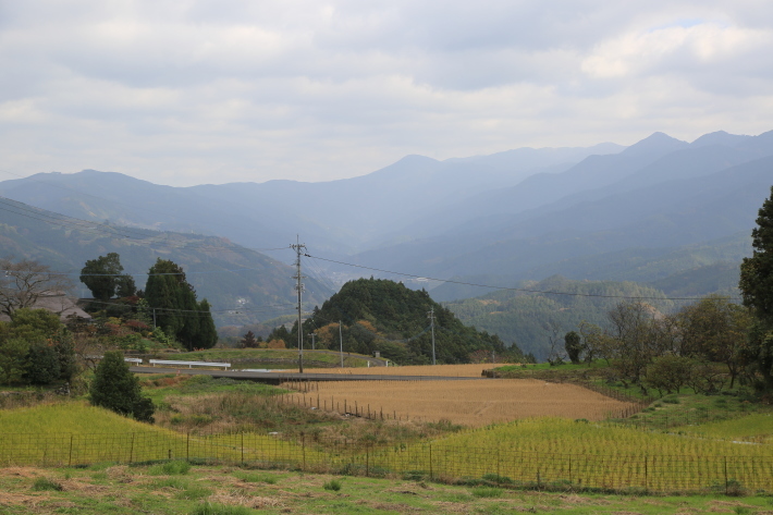 c0358784_15322276.jpg