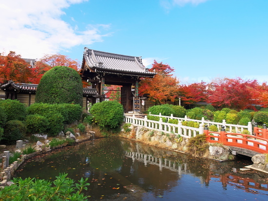 紅葉だより2016～妙満寺～(11/23)_d0026589_01102725.jpg