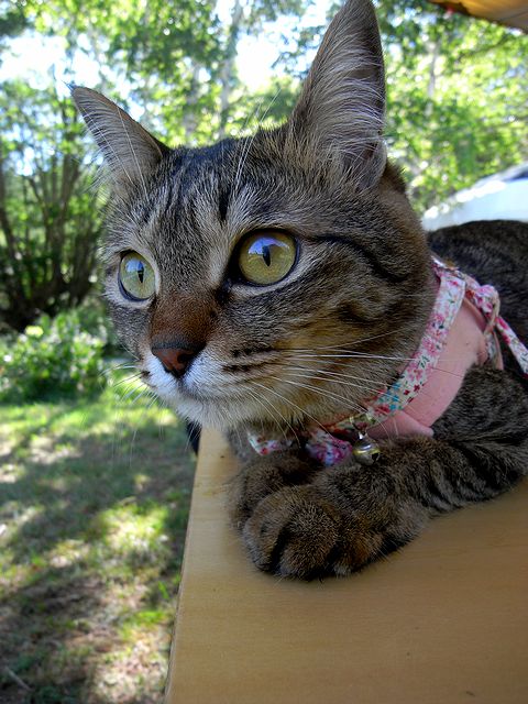 a0093592_031537.jpg