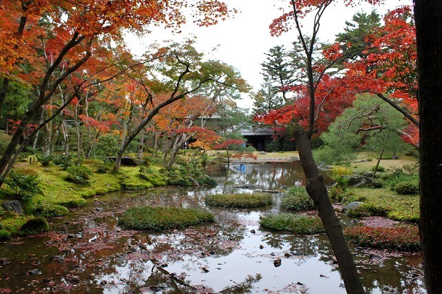 京都の紅葉　2016 無鄰菴_f0374092_15110019.jpg