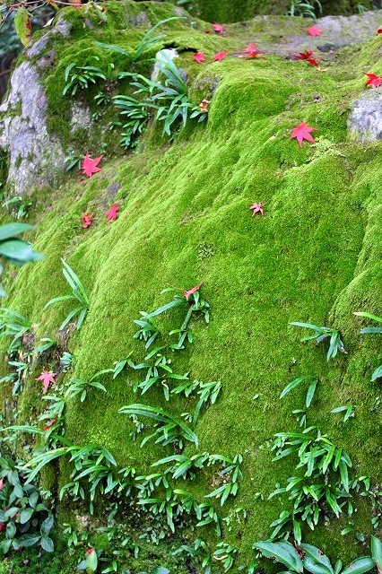 f0374092_15112852.jpg