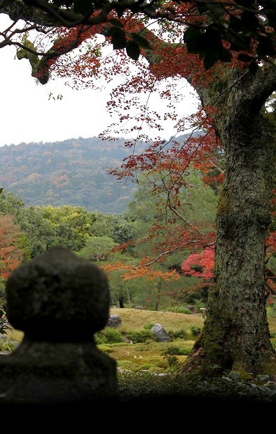 京都の紅葉　2016 無鄰菴_f0374092_15260044.jpg