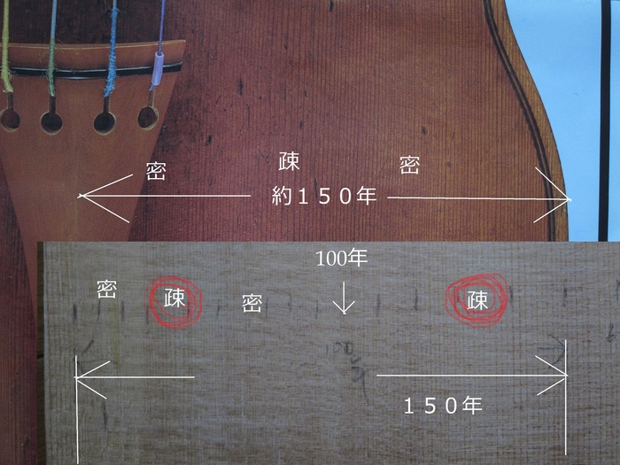 Ａｍａｔｉ用のアベーテロッソ　年輪密な材料を選別（追記※）_d0040395_11345362.jpg