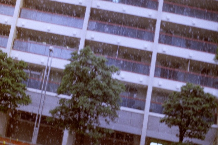 a0214096_17194542.jpg