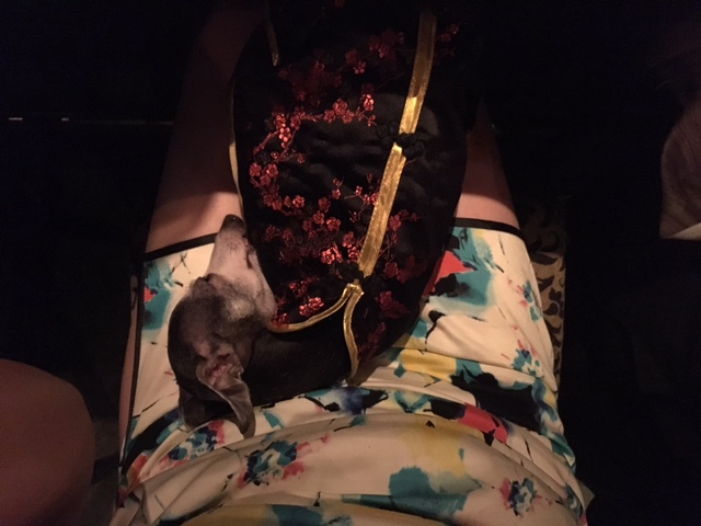 miumiu11周年記念祭り~③謝謝!~_a0050302_4242895.jpg