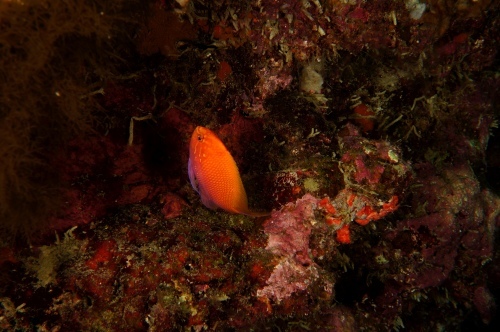 c0368903_22045672.jpg
