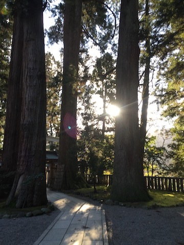 c0193304_13042321.jpg