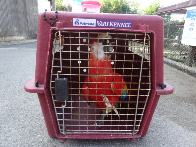 冬と動物_c0290504_14281491.jpg