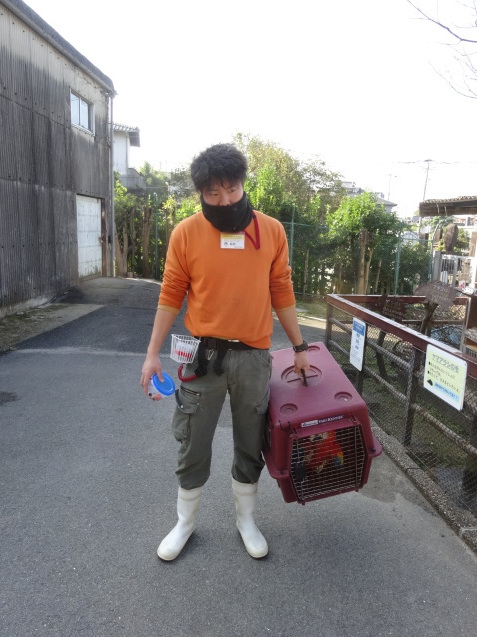 冬と動物_c0290504_14282223.jpg