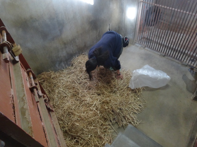 冬と動物_c0290504_14292540.jpg