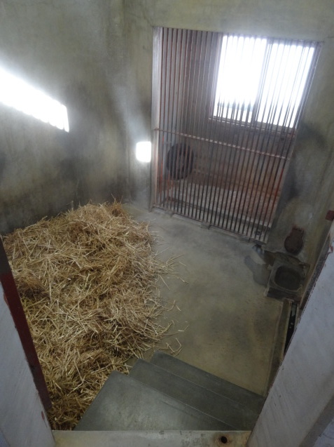 冬と動物_c0290504_14293252.jpg