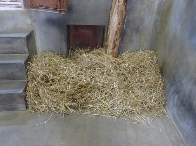 冬と動物_c0290504_14305373.jpg