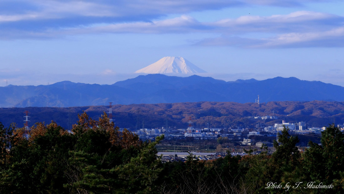 探鳥の成果なく・・・_d0334006_17031605.jpg