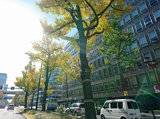11月ラストは西日本からお届けです!_d0091909_17173116.jpg