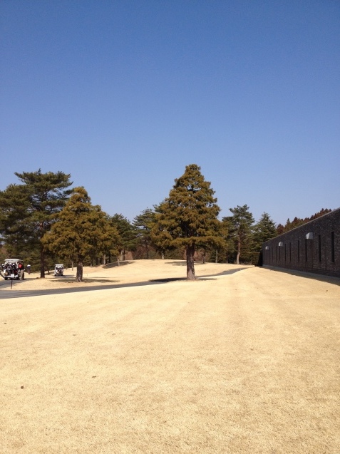 b0176010_09475654.jpg