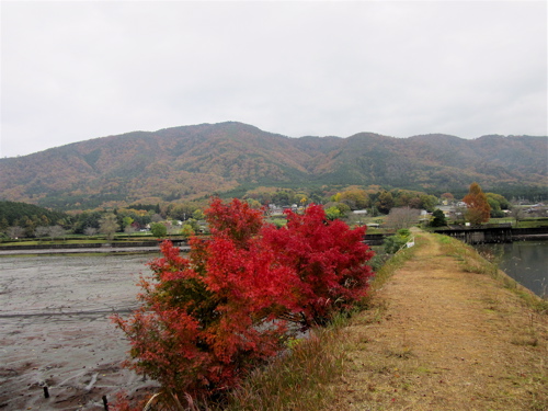 出雲大神宮の後に平の沢池の紅葉_a0164011_22585860.jpg