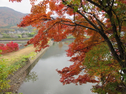 出雲大神宮の後に平の沢池の紅葉_a0164011_22591279.jpg