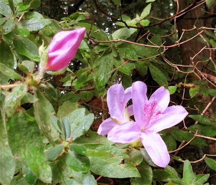 a0164011_22592263.jpg