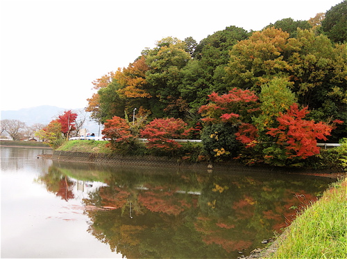 出雲大神宮の後に平の沢池の紅葉_a0164011_22593982.jpg