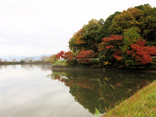 出雲大神宮の後に平の沢池の紅葉_a0164011_230041.jpg