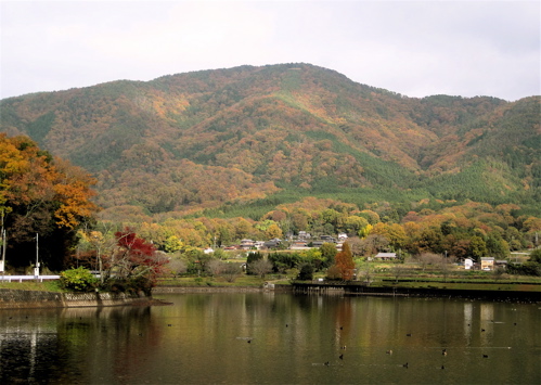 a0164011_2301882.jpg