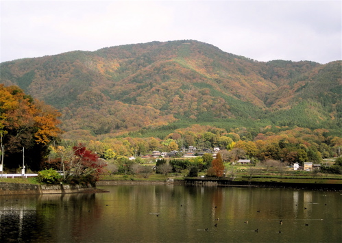 出雲大神宮の後に平の沢池の紅葉_a0164011_2301882.jpg