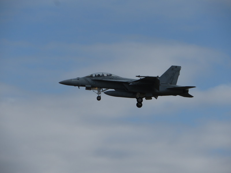 d0351213_2005358.jpg