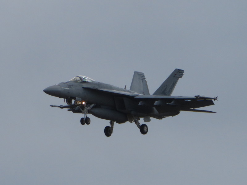 d0351213_2051984.jpg