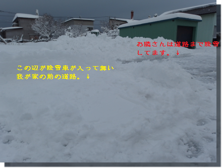 a0114514_18251262.png