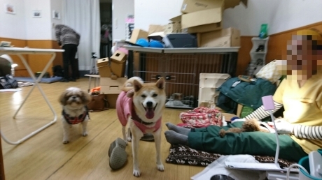 b0274815_23455792.jpg
