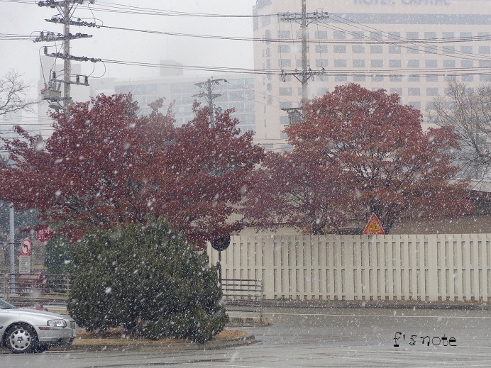 ソウルの初雪 と ペルシャ料理「ルビア・ポロウ」_a0279116_10031924.jpg