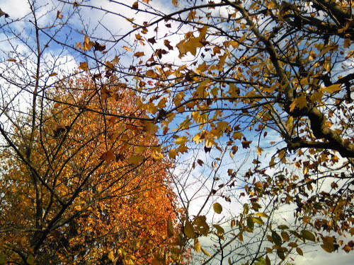 b0285619_20232848.jpg