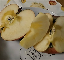 f0354923_21460638.jpg