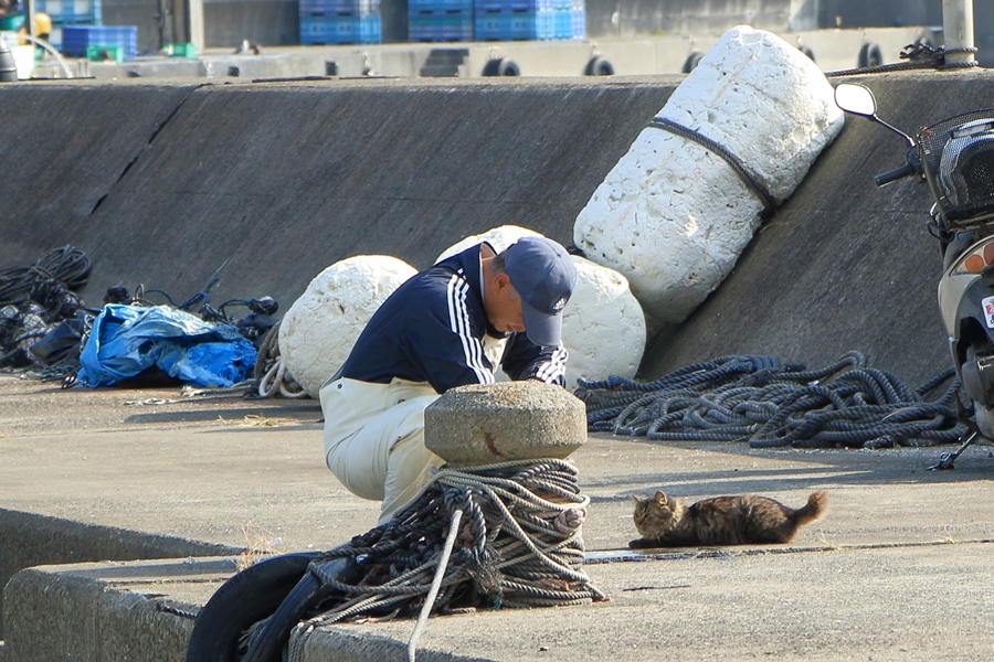 クロちゃん　その二_a0076825_21332100.jpg